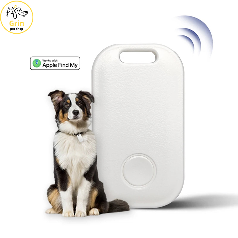 Máy định vị cho chó mèo